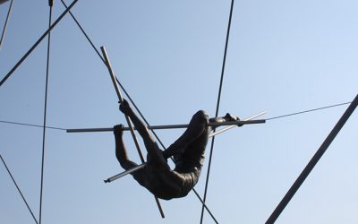 The Flying Trapeze