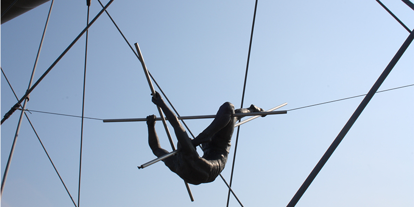 The Flying Trapeze